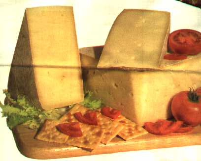 formaggi della Valtellina